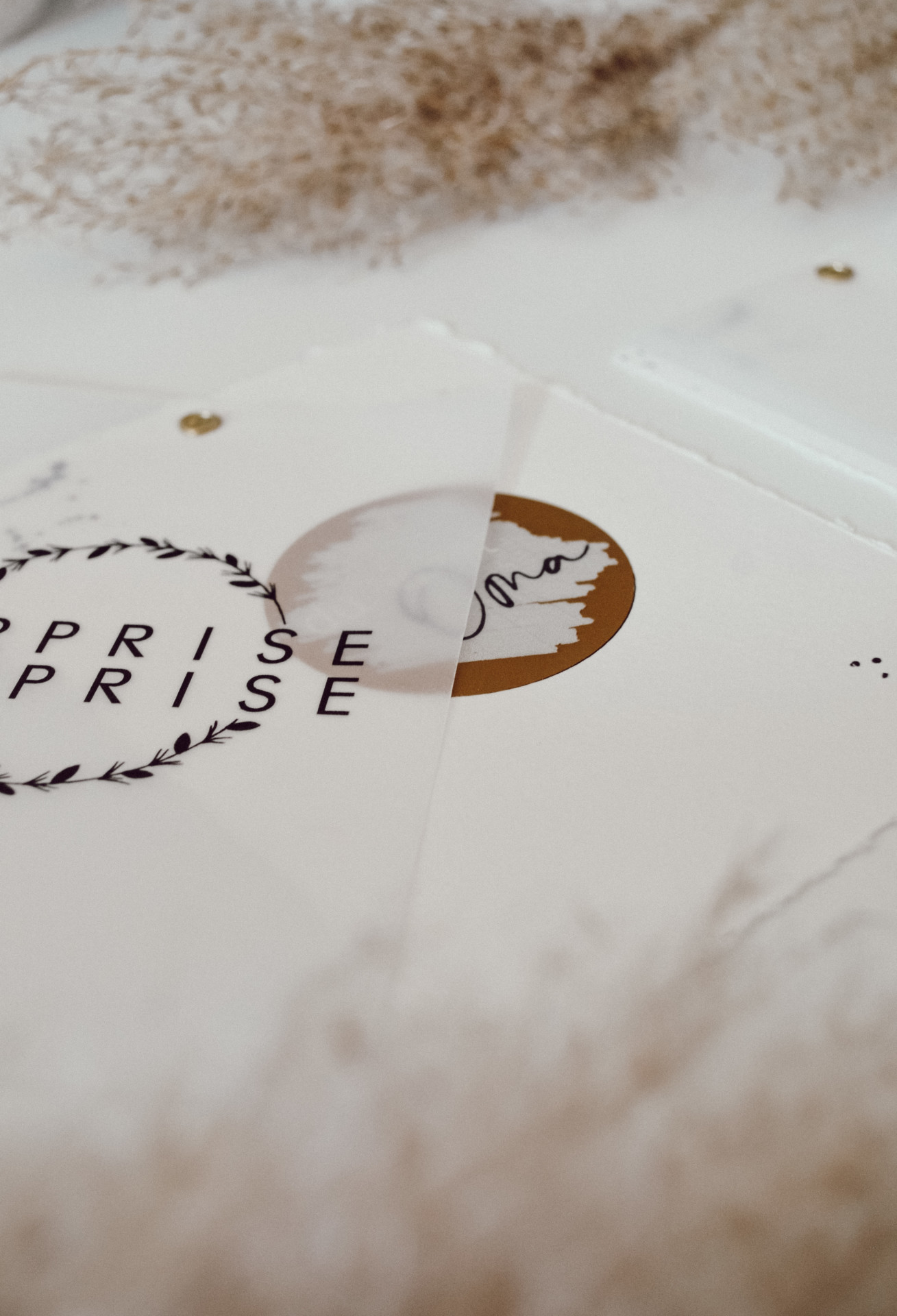 B6C02047-72E3-4125-B8E1-394D9593C82C